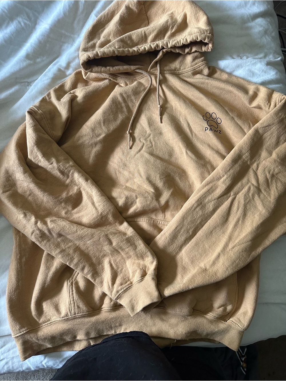 PAWZ for a cause hoodie